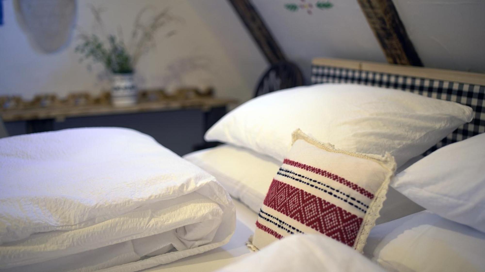 Iz De Maramures Rural Hotel (Adults Only) Surdesti  Екстер'єр фото