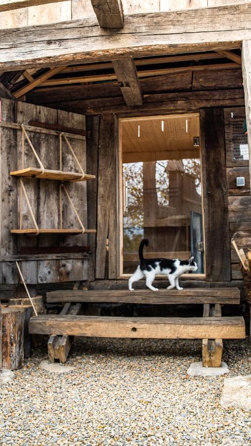 Iz De Maramures Rural Hotel (Adults Only) Surdesti  Екстер'єр фото